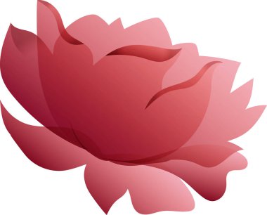 Burgundy kadife çiçek açmış. Şenlik dekorasyonu. Taze çiçekler ve bitkilerle süslenmiş saç ve giysiler. Moda ya da saç stili tasarım öğesi. Beyaz arkaplanda izole edilmiş vektör