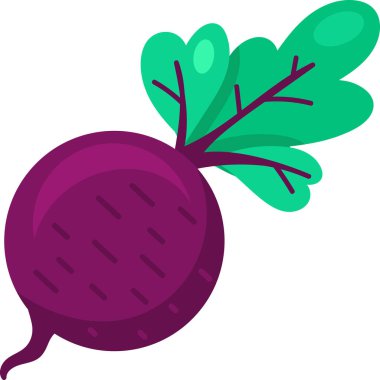 Mor pancar, yeşil yapraklı şalgam meyvesi. Vejetaryen menüsüne vejetaryen yemeği ekin. Sağlıklı ve sağlıklı yiyecekler. Tarım alanında sonbahar hasadı. Beyaz sırtında izole edilmiş basit renkli düz vektör simgesi