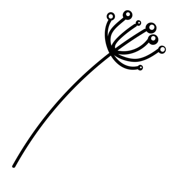 乾燥タンポポの脆弱な茎のドードルシルエット 冬の祭りの装飾の要素 乾燥した植物の冬のハーバリウム 白い背景に単離された単純な黒い形のフリーハンドのベクトル アイコン — ストックベクタ