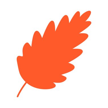 Güzel ağaç yaprağı, herbaryum silueti. Parlak sonbahar renkli yaprak düz çizimi. Beyaz arkaplanda izole edilmiş basit çizgi film vektör eli