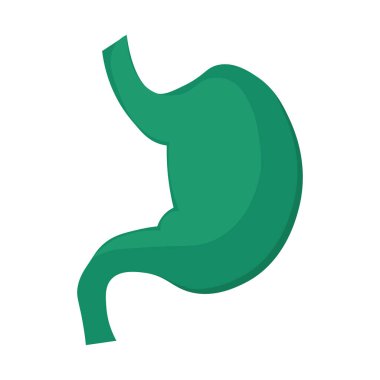 İnsan mide ikonunun yapısı. Abdominal organlar, modern ve retro tasarım için tıpta okşanmış karikatür elementleri. Beyaz arkaplanda izole edilmiş basit renk vektörü resim grafiği