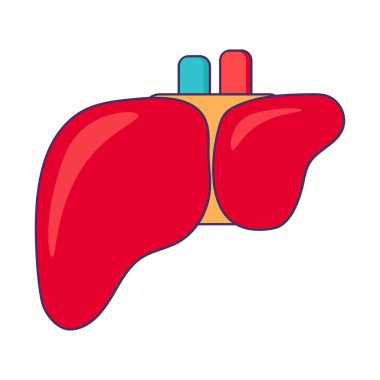Sağlıklı insan karaciğer ikonu. Filtreleme organı, modern ve retro tasarım için tıbbi olarak okşanmış karikatür öğesi. Beyaz arkaplanda izole edilmiş basit renk vektörü resim grafiği