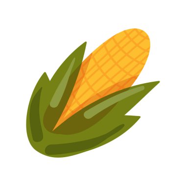 Yeşil yapraklar içinde olgun mısır koçanı. Sonbahar hasadı, kış için yiyecek hazırlamak. Basit renkli sade bir illüstrasyon. El çizimi çizgi film vektörü beyaz arkaplanda izole edildi
