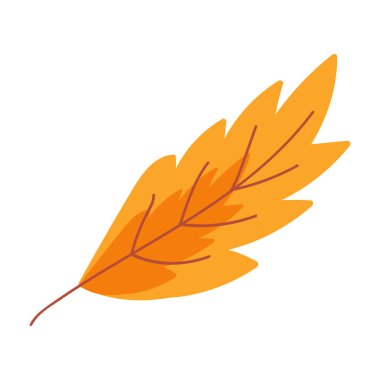 Kuru bitkisel kavak yaprağı. Sonbahar yaprakları dökülüyor ve kışın başlamasına hazırlanıyor. Basit renkli sade bir illüstrasyon. El çizimi çizgi film vektörü beyaz arkaplanda izole edildi