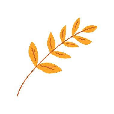 Kuru bitkisel akasya yaprağı. Kuru yapraklı narin akasya dalı. Basit renkli sade bir illüstrasyon. El çizimi çizgi film vektörü beyaz arkaplanda izole edildi