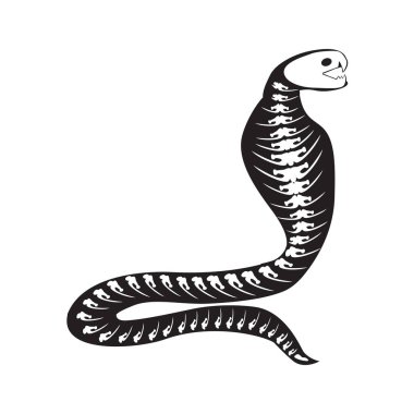 Siluet cadılar bayramı kobrası roentgen iskelet kemikleriyle kaputu aç, peri masalı ürkütücü karakteri. Kobra 'nın açık kaputunun korkunç gölge çizgisi. Beyaz arkaplanda izole edilmiş basit siyah ve beyaz vektör