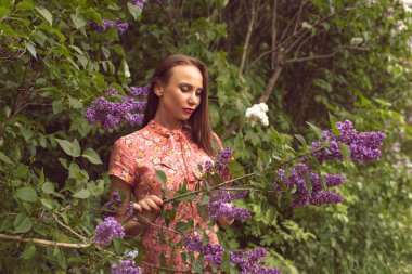 Gece botanik bahçesinde leylak çiçek açtığında