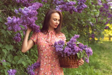 Gece botanik bahçesinde leylak çiçek açtığında