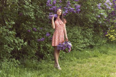 Gece botanik bahçesinde leylak çiçek açtığında