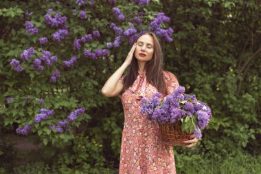 Gece botanik bahçesinde leylak çiçek açtığında