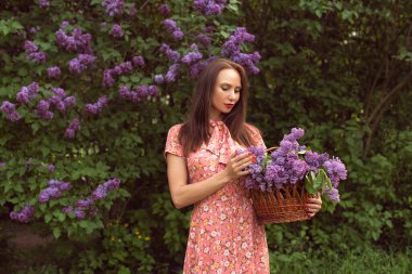 Gece botanik bahçesinde leylak çiçek açtığında
