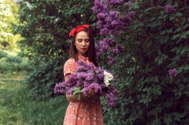 Gece botanik bahçesinde leylak çiçek açtığında