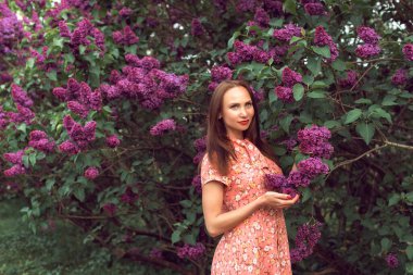 Gece botanik bahçesinde leylak çiçek açtığında