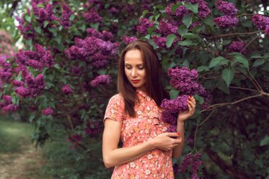 Gece botanik bahçesinde leylak çiçek açtığında