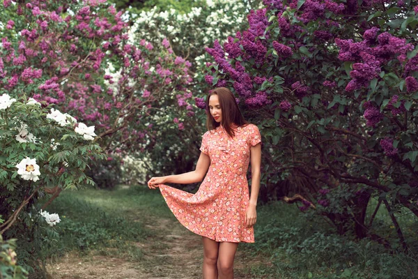 stock image Evening in the botanical garden when the lilac blossomed