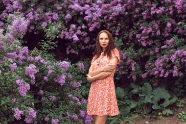 Gece botanik bahçesinde leylak çiçek açtığında