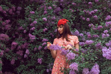 Gece botanik bahçesinde leylak çiçek açtığında