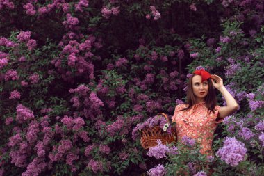 Gece botanik bahçesinde leylak çiçek açtığında