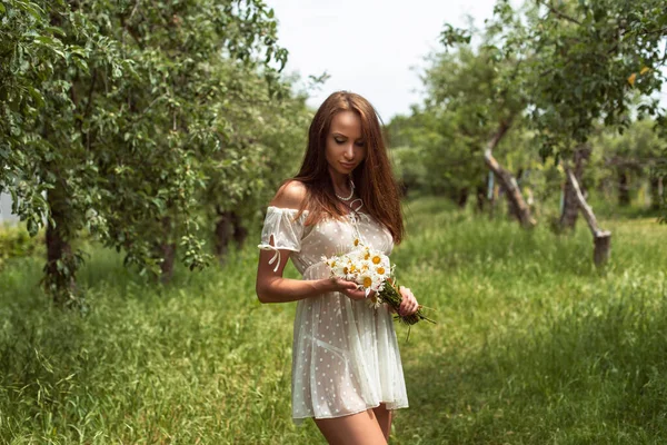 Promenade Avec Une Femme Dans Verger Pommes — Photo