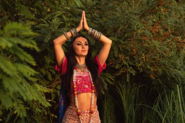 Hint tarzı giyinmiş esmer bir kadın.