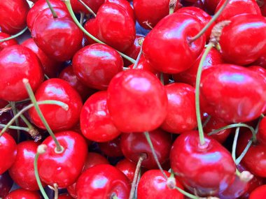 Yaz boyunca masada kırmızı kirazlar olacak. Meyve.