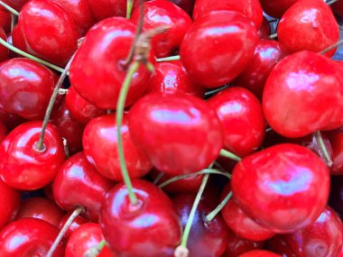 Yaz boyunca masada kırmızı kirazlar olacak. Meyve.