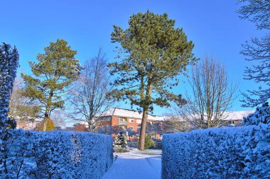 Şehir parkında kış, Danimarka 'da Herning. Kış Sahnesi. Doğa Fotoğraf Koleksiyonu. En iyi hedef.