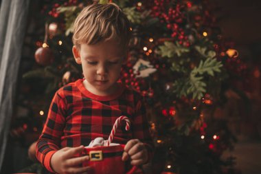 Mucizevi Noel Baba 'yı bekleyen mutlu küçük hayalperest çocuk renkli lolipopun tadını çıkarıyor. Kırmızı kareli uykucu neşeli çocuk yeni yılı kutluyor Noel ağacının yanında marshmallowlu Xmas bardağı tutuyor 25 Aralık arifesi