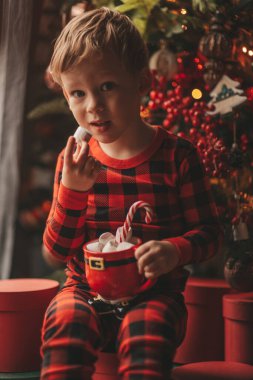 Mucizevi Noel Baba 'yı bekleyen mutlu küçük hayalperest çocuk renkli lolipopun tadını çıkarıyor. Kırmızı kareli uykucu neşeli çocuk yeni yılı kutluyor Noel ağacının yanında marshmallowlu Xmas bardağı tutuyor 25 Aralık arifesi