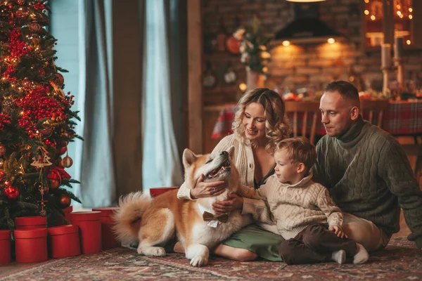 Portrait of happy family in knitted beige sweaters waiting Santa indoor with Akita Inu. Smiling parents hugs and kisses his little son eve 25 December celebrates xmas with garlands lights Noel tree