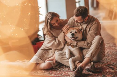 25 Aralık arifesinde evde Akia Inu köpeğiyle kucaklaşan genç bir çiftin portresi. Örgü ören şık elbiseli insanlar, yeni yılı kutlayan şefkat dolu öpücükler, Noel ışıkları, Noel ağacı.
