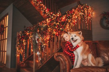 Gülümse küçük çocuk Noel ağacında mucizevi Noel Baba 'yı bekleyen köpekle eğleniyor. Kırmızı kareli uykucu neşeli çocuk yeni yılı kutluyor sevimli akita inu evcil çelenk ışıklarına sarılıyor 25 Aralık arifesi