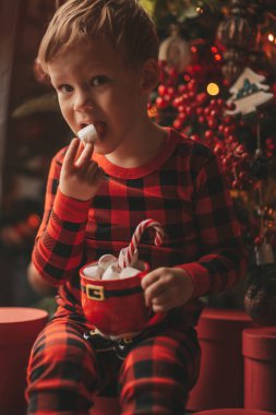 Mucizevi Noel Baba 'yı bekleyen mutlu küçük hayalperest çocuk renkli lolipopun tadını çıkarıyor. Kırmızı kareli uykucu neşeli çocuk yeni yılı kutluyor Noel ağacının yanında marshmallowlu Xmas bardağı tutuyor 25 Aralık arifesi
