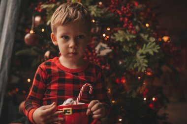 Mucizevi Noel Baba 'yı bekleyen mutlu küçük hayalperest çocuk renkli lolipopun tadını çıkarıyor. Kırmızı kareli uykucu neşeli çocuk yeni yılı kutluyor Noel ağacının yanında marshmallowlu Xmas bardağı tutuyor 25 Aralık arifesi