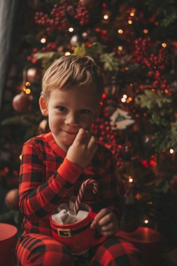 Mucizevi Noel Baba 'yı bekleyen mutlu küçük hayalperest çocuk renkli lolipopun tadını çıkarıyor. Kırmızı kareli uykucu neşeli çocuk yeni yılı kutluyor Noel ağacının yanında marshmallowlu Xmas bardağı tutuyor 25 Aralık arifesi