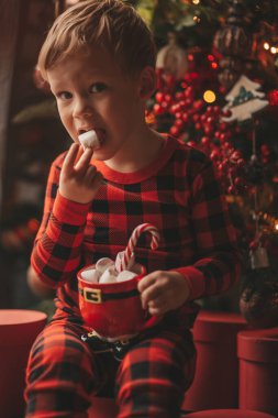 Mucizevi Noel Baba 'yı bekleyen mutlu küçük hayalperest çocuk renkli lolipopun tadını çıkarıyor. Kırmızı kareli uykucu neşeli çocuk yeni yılı kutluyor Noel ağacının yanında marshmallowlu Xmas bardağı tutuyor 25 Aralık arifesi