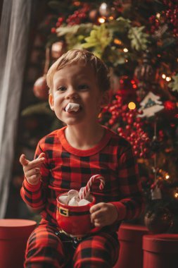 Mucizevi Noel Baba 'yı bekleyen mutlu küçük hayalperest çocuk renkli lolipopun tadını çıkarıyor. Kırmızı kareli uykucu neşeli çocuk yeni yılı kutluyor Noel ağacının yanında marshmallowlu Xmas bardağı tutuyor 25 Aralık arifesi