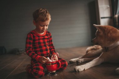 Gülümse küçük çocuk Noel ağacında mucizevi Noel Baba 'yı bekleyen köpekle eğleniyor. Kırmızı kareli uykucu neşeli çocuk yeni yılı kutluyor sevimli akita inu evcil çelenk ışıklarına sarılıyor 25 Aralık arifesi