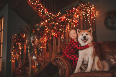 Gülümse küçük çocuk Noel ağacında mucizevi Noel Baba 'yı bekleyen köpekle eğleniyor. Kırmızı kareli uykucu neşeli çocuk yeni yılı kutluyor sevimli akita inu evcil çelenk ışıklarına sarılıyor 25 Aralık arifesi