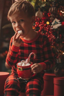 Mucizevi Noel Baba 'yı bekleyen mutlu küçük hayalperest çocuk renkli lolipopun tadını çıkarıyor. Kırmızı kareli uykucu neşeli çocuk yeni yılı kutluyor Noel ağacının yanında marshmallowlu Xmas bardağı tutuyor 25 Aralık arifesi