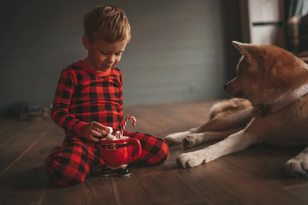 Χαμόγελο Μικρό Παιδί Έχει Διασκέδαση Σκυλί Περιμένει Θαύμα Σάντα Στο — Φωτογραφία Αρχείου