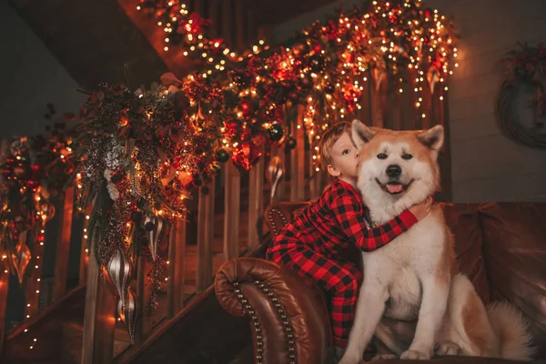 Úsměv Malé Dítě Baví Psem Čeká Zázrak Santa Stromu Noel — Stock fotografie