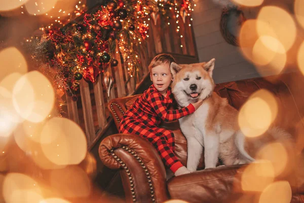 아이가 나무에서 산타를 기다리는 재미있게 모습을 미소짓는다 침대보를 을축하 점박이 — 스톡 사진