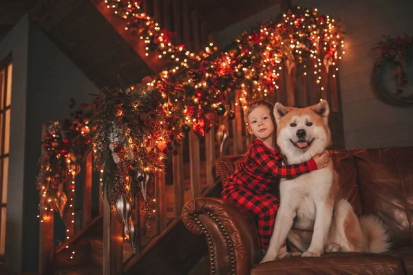 Gülümse Küçük Çocuk Noel Ağacında Mucizevi Noel Baba Bekleyen Köpekle — Stok fotoğraf