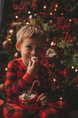 Mucizevi Noel Baba 'yı bekleyen mutlu küçük hayalperest çocuk renkli lolipopun tadını çıkarıyor. Kırmızı kareli uykucu neşeli çocuk yeni yılı kutluyor Noel ağacının yanında marshmallowlu Xmas bardağı tutuyor 25 Aralık arifesi