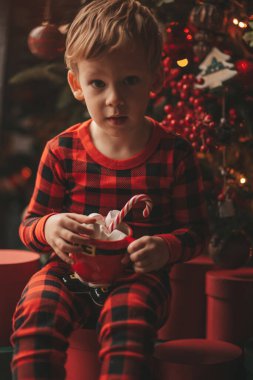 Mucizevi Noel Baba 'yı bekleyen mutlu küçük hayalperest çocuk renkli lolipopun tadını çıkarıyor. Kırmızı kareli uykucu neşeli çocuk yeni yılı kutluyor Noel ağacının yanında marshmallowlu Xmas bardağı tutuyor 25 Aralık arifesi