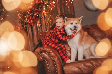 Gülümse küçük çocuk Noel ağacında mucizevi Noel Baba 'yı bekleyen köpekle eğleniyor. Kırmızı kareli uykucu neşeli çocuk yeni yılı kutluyor sevimli akita inu evcil çelenk ışıklarına sarılıyor 25 Aralık arifesi