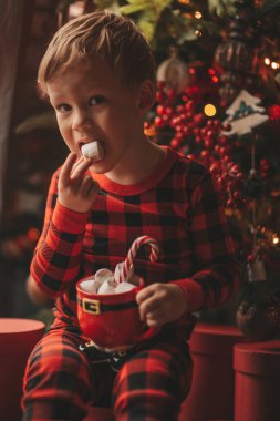 Mucizevi Noel Baba 'yı bekleyen mutlu küçük hayalperest çocuk renkli lolipopun tadını çıkarıyor. Kırmızı kareli uykucu neşeli çocuk yeni yılı kutluyor Noel ağacının yanında marshmallowlu Xmas bardağı tutuyor 25 Aralık arifesi