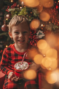 Mucizevi Noel Baba 'yı bekleyen mutlu küçük hayalperest çocuk renkli lolipopun tadını çıkarıyor. Kırmızı kareli uykucu neşeli çocuk yeni yılı kutluyor Noel ağacının yanında marshmallowlu Xmas bardağı tutuyor 25 Aralık arifesi