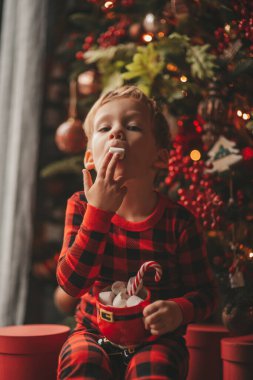 Mucizevi Noel Baba 'yı bekleyen mutlu küçük hayalperest çocuk renkli lolipopun tadını çıkarıyor. Kırmızı kareli uykucu neşeli çocuk yeni yılı kutluyor Noel ağacının yanında marshmallowlu Xmas bardağı tutuyor 25 Aralık arifesi